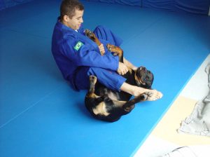 Leo Vieira drilling armbars